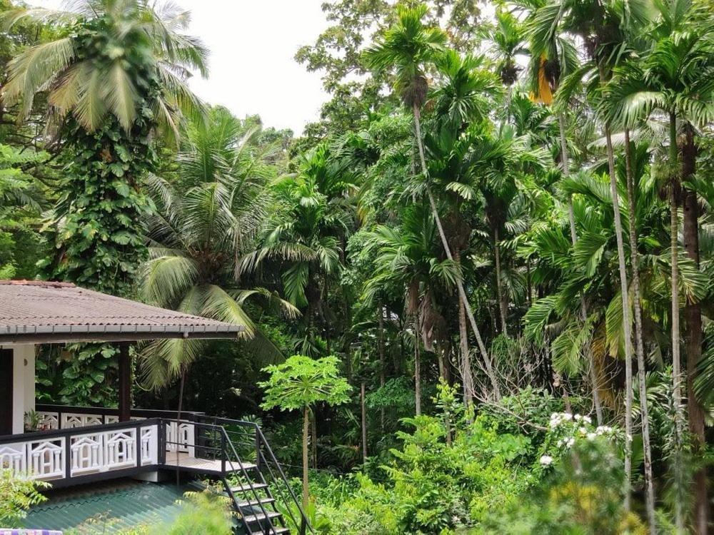 Green Turf Galle Ngoại thất bức ảnh